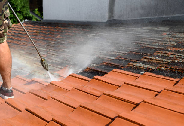 Best Best Pressure Washing Companies  in Neptune Beach, FL